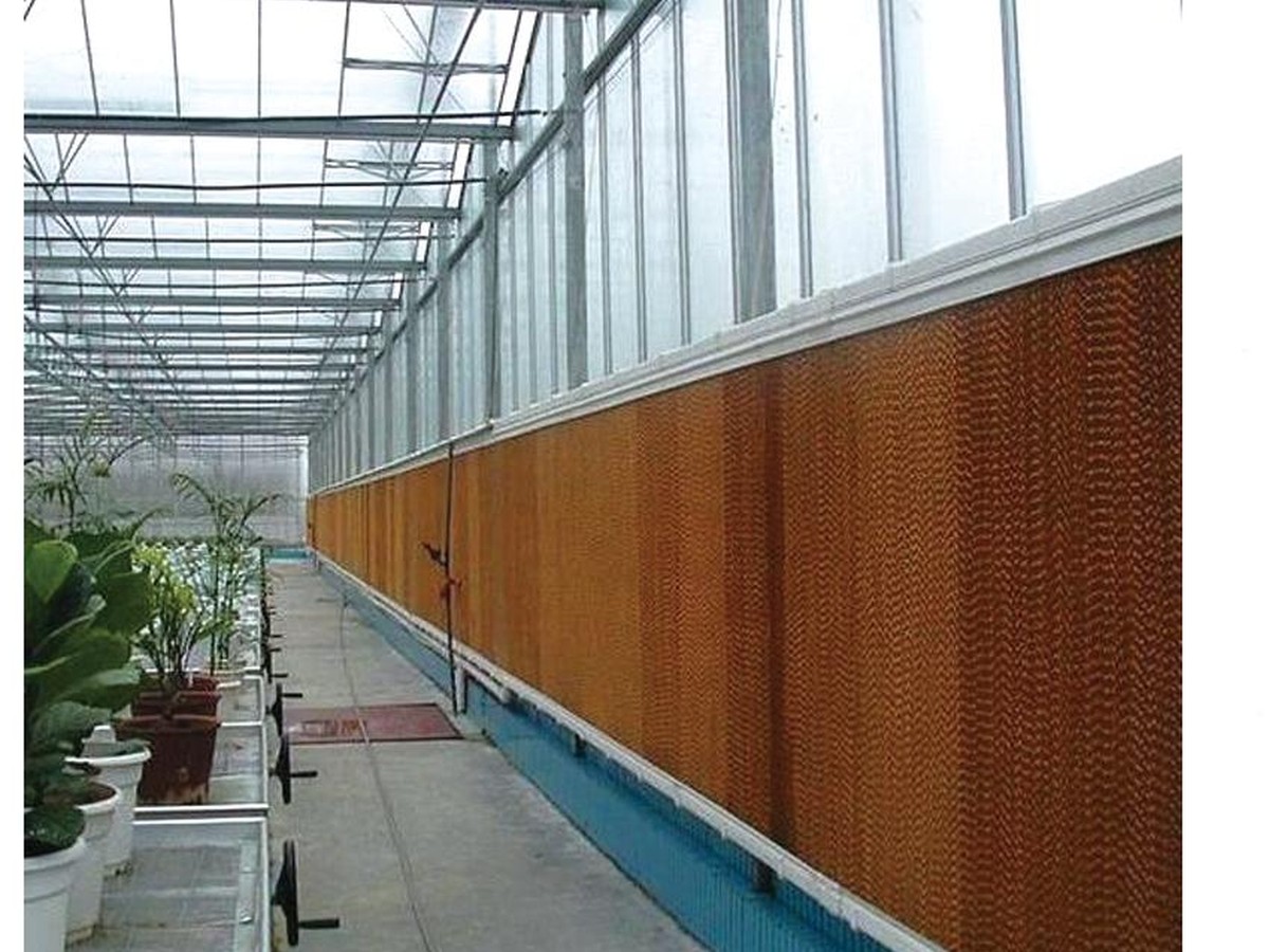 Evaporative cooling pad wall inside a greenhouse